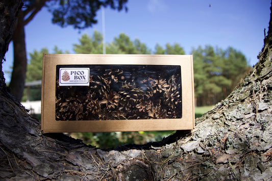 PicoBox - MuseEffect